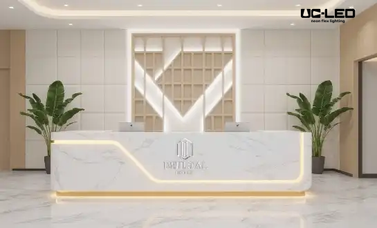 How LED Neon Rope Lights Enhance Hotel and Retail Store Atmospheres?